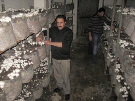 Ulusal Marketlerin Kültür Mantarı Erzurum'dan