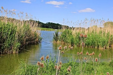 Uluslararası öneme sahip sulak alan sayısı 135’e yükseldi