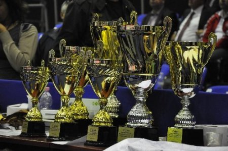 Ümitlerden, 'Avrupa Taekwondo Şampiyonası'nda 12 madalya