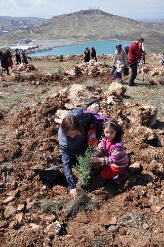 Umut-Der üyesi kadınlar fidanları toprakla buluşturdu