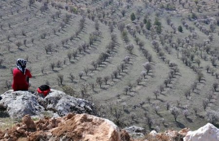 Umut-Der üyesi kadınlar fidanları toprakla buluşturdu