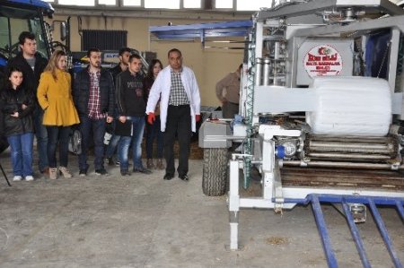 Üniversite, kaba yem problemini paketlenmiş silajla çözecek