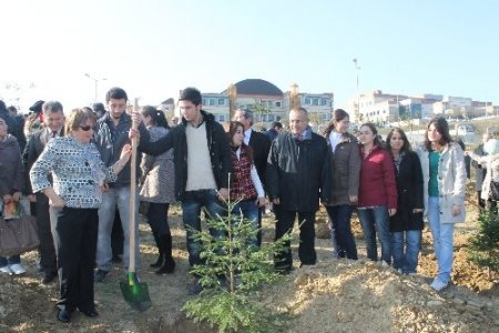 Üniversite Öğrencileri Çam Fidanı Dikti
