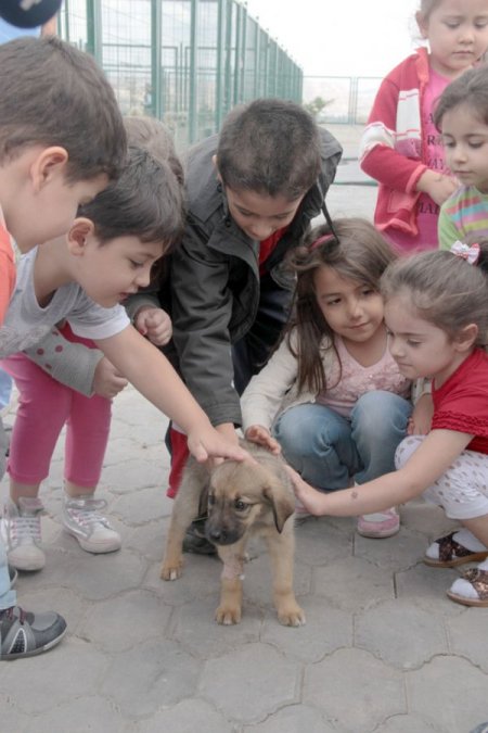 Üniversite öğrencileri hayvan barınağını ziyaret etti