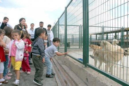 Üniversite öğrencileri hayvan barınağını ziyaret etti