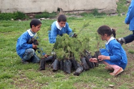 Üniversite öğrencileri Taşlıçay’da fidan dikti