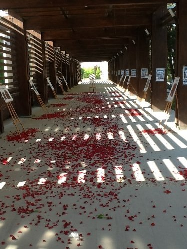 Üniversite öğrencilerinden kutlu doğum programı