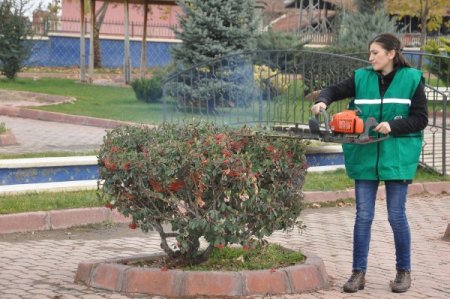 Üniversite öğrencilerinden örnek çalışma