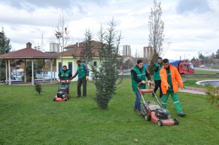 Üniversite öğrencilerinden örnek çalışma