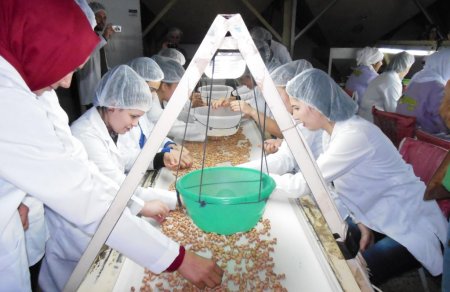 Üniversite öğrencilerine kalite ve gıda güvenliği yönetimi anlatıldı