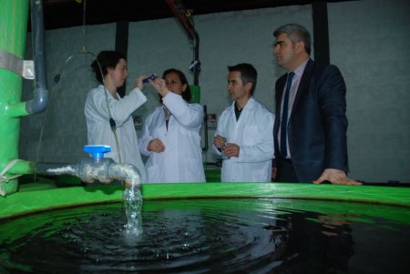 Üniversiteden balık üreticilerine yem desteği