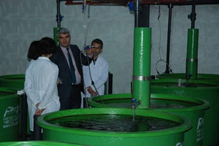 Üniversiteden balık üreticilerine yem desteği