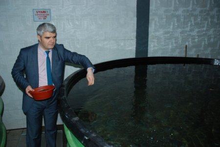 Üniversiteden balık üreticilerine yem desteği