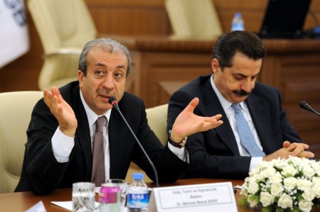 Üniversiteli çobanlar yolda