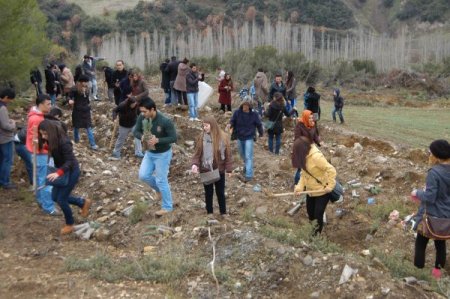 Üniversiteli Genç Tema'cılar 2 bin 500 fidan dikti