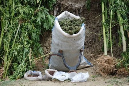 Üniversiteli Uyuşturucu Taciri Narkotik Köpeklerini Atlatamadı