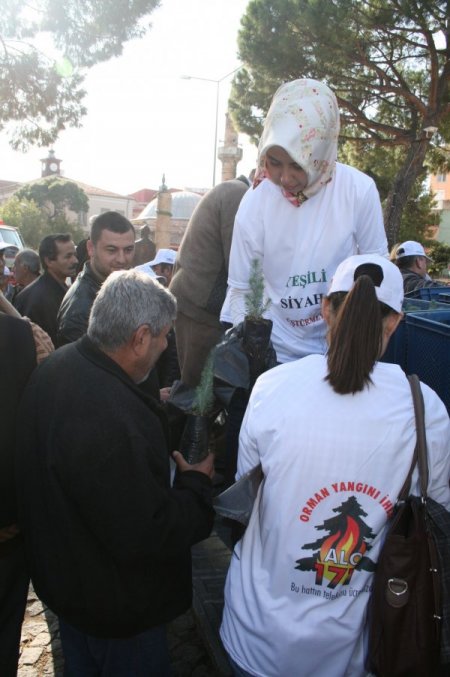 Üniversiteliler orman yangınlarına dikkat çekmek için yürüdü