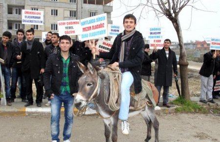 Üniversiteliler ulaşım sorununa eşekle çözüm buldu