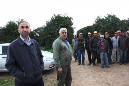 Üniversitenin Gen Merkezini Paylaşamıyorlar