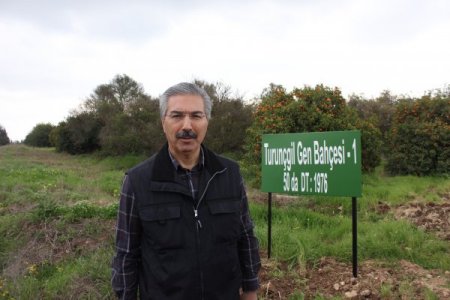 Üniversitenin Gen Merkezini Paylaşamıyorlar