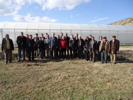 Ünye İlçe Tarım’dan Erbaa'ya kesme çiçek inceleme gezisi