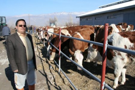 Üreticiye Süt Karşılığında Sıfır Faizli Kredi Verilecek