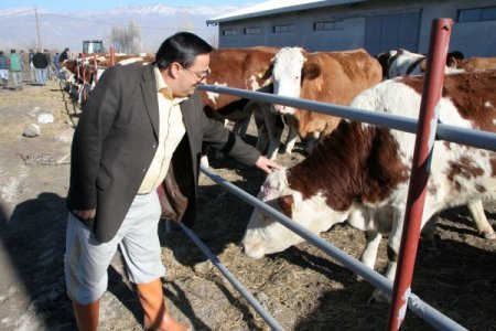 Üreticiye Süt Karşılığında Sıfır Faizli Kredi Verilecek