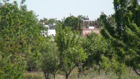 Ürgüpte iki balon havada çarpıştı: 1 ölü, 24 yaralı