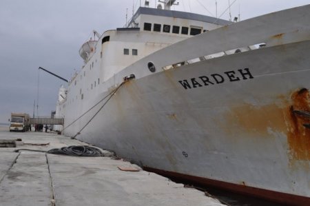 Uruguay’dan Damızlık Büyük Baş Hayvan İthal Edildi