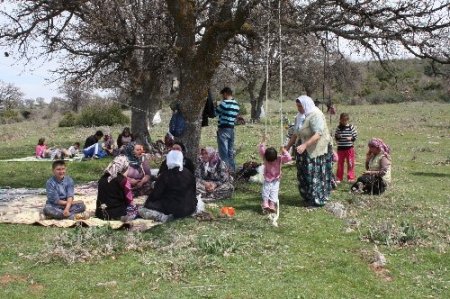 Uşak'ta kurulacak taş ocağına piknikli tepki