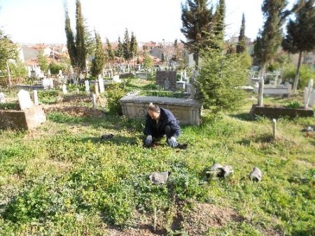 Uşak'ta mezarlıklara binlerce fidan dikiliyor