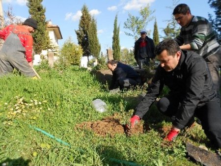 Uşak'ta mezarlıklara binlerce fidan dikiliyor
