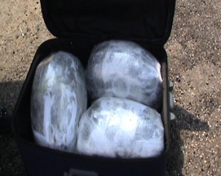 Uşak'ta narkotik köpeği Tora yine yakaladı