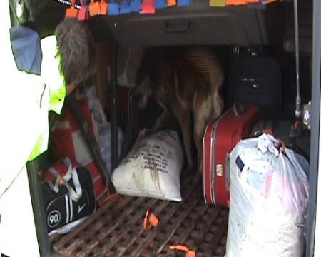 Uşak'ta narkotik köpeği Tora yine yakaladı