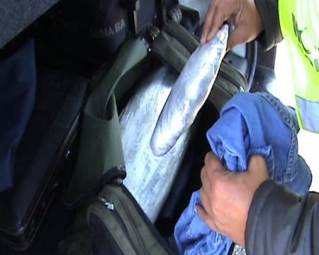 Uşak'ta narkotik köpeği Tora yine yakaladı