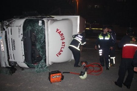 Uşak’ta trafik kazası: 4 insan ve 4 yarış atı yaralandı