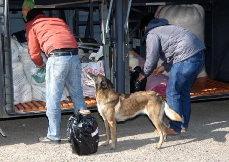Uşak'ta yolcu otobüsünde 750 gram toz esrar ele geçirildi
