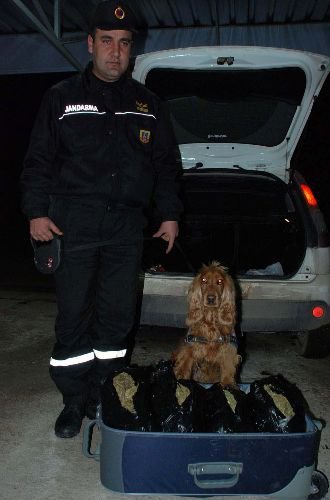 Uyuşturucu Operasyonunda 15 Kilo Esrar Ele Geçirildi