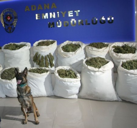 Uyuşturucu satıcılarını 'Maya' tuttu!