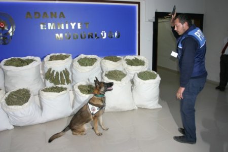 Uyuşturucu satıcılarını 'Maya' tuttu!