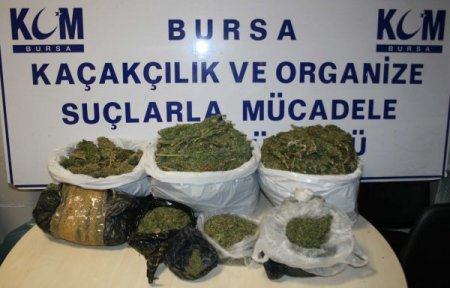 Uyuşturucu taciri, esrarı köpeğin barakasına gömmüş