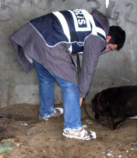 Uyuşturucu taciri, esrarı köpeğin barakasına gömmüş