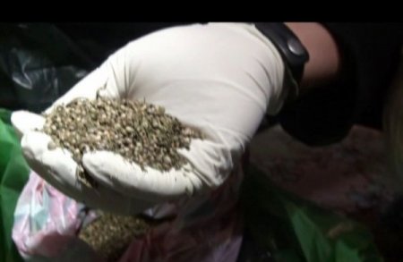 Uyuşturucu tacirini 'Hürrem Sultan' parolası yakalattı