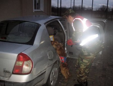 Uyuşturucu Tacirleri Narkotik Köpeği Ramiz'e Takıldı