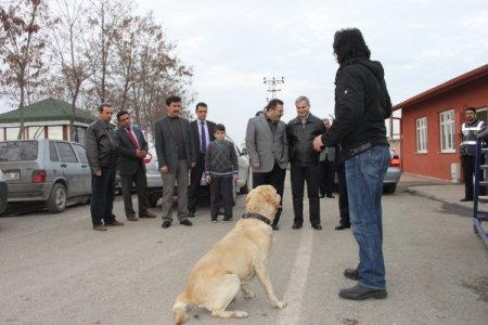 Uyuşturucu ve kaçakçılara göz açtırmayan polise tebrik