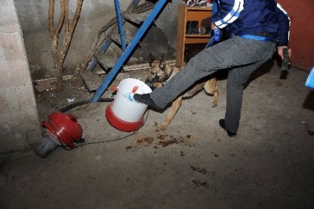 Uyuşturucudan gözaltına alınan torbacı, '7 çocuk babasıyım' deyip iş istedi!