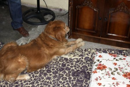 Uyuşturucuya, ekmek arası dürüm ve ağrı kesici ismini takmışlar