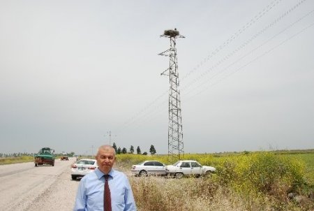 Üzerine leyleklerin yuva yaptığı direğin taşınması, göç sonrasına bırakıldı