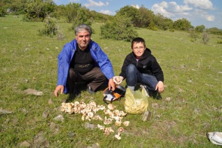 Uzmanlar, Vatandaşları, Doğada Yetişen Mantar Yememeleri Konusunda Uyardı