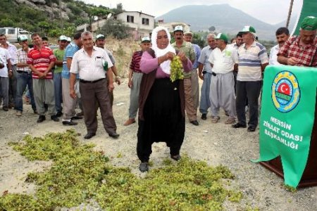 Üzüm Üreticileri Yere Döktükleri Ürünlerini Çiğneyerek Eylem Yaptı